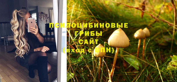 стафф Медвежьегорск
