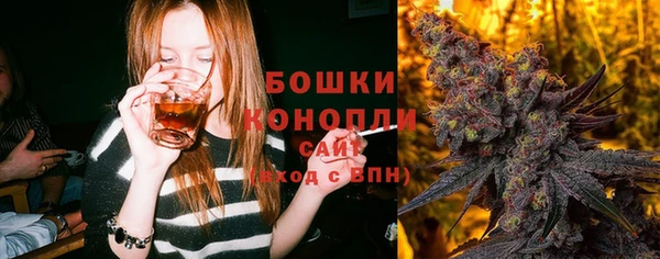 стафф Медвежьегорск