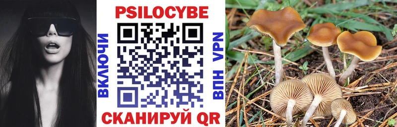 Купить закладки  Салават  Псилоцибиновые грибы Magic Shrooms 
